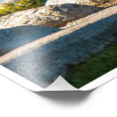 Male Mallard Duck Perched on Lakeside Stones フォトプリント (角)