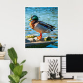 Male Mallard Duck Perched on Lakeside Stones ポスター (ホームオフィス)