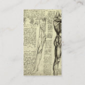 Male Muscle Anatomy Sketch by Leonardo da Vinci 名刺 (裏面)