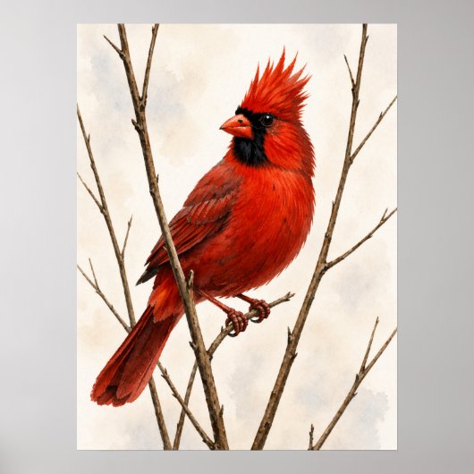 Male Northern Cardinal ポスター (正面)