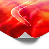 Male Reproductive Sperm Entering The Egg ポスター (角)