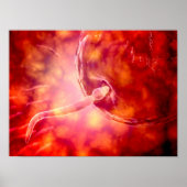 Male Reproductive Sperm Entering The Egg ポスター (正面)