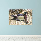 Male wood duck swimming in pond canvas print キャンバスプリント (インサイチュ (ウッドフロア))