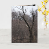 Malificentの木 カード (黄色い花)