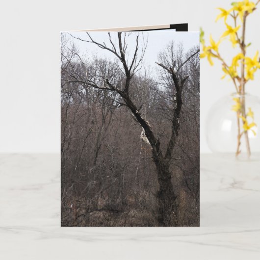 Malificentの木 カード (黄色い花)