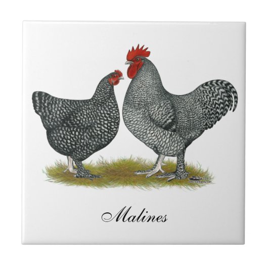 Malineの鶏 タイル (正面)