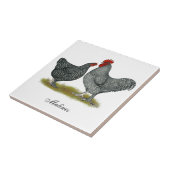 Malineの鶏 タイル (側面)