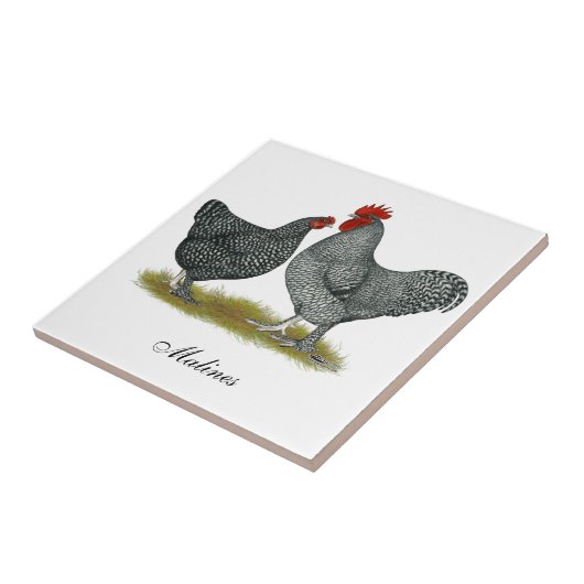 Malineの鶏 タイル (側面)