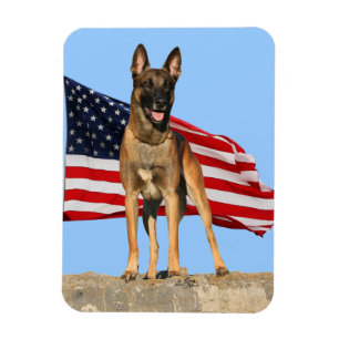 Malinoisおよび旗の適用範囲が広い磁石 マグネット