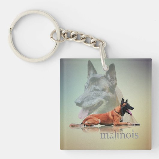 Malinois -ベルギーの羊飼い- Mechelaar - Maligator キーホルダー (正面)