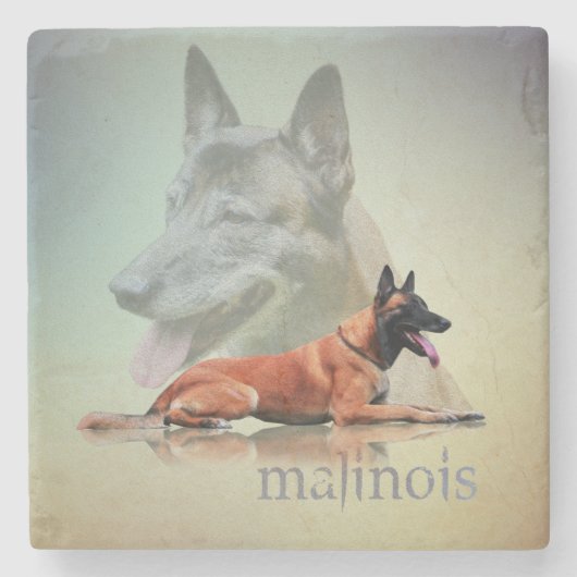 Malinois -ベルギーの羊飼い- Mechelaar - Maligator ストーンコースター (正面)
