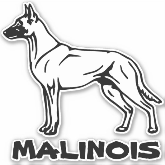 Malinois Herder Autoaufkleber シール (正面)