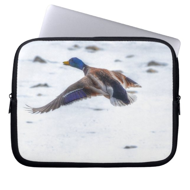 Mallard 飛んでいる Duck Drake 15 Wildlife写真 ラップトップスリーブ (正面)