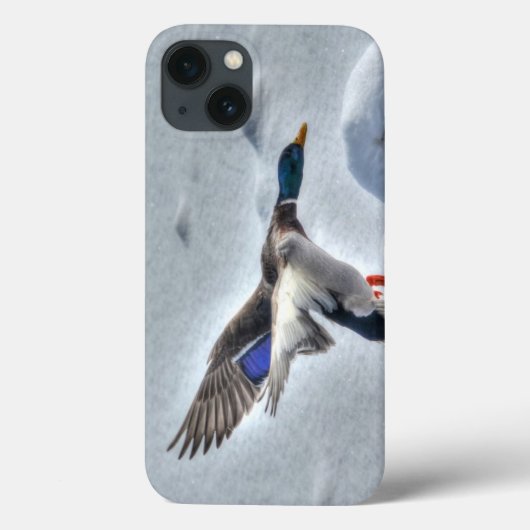Mallard 飛んでいる Duck Drake 4 Wildlife写真 Case-Mate iPhoneケース (裏面)