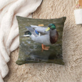 Mallard Duck （オス） in Creek Pillow クッション (ブランケット)