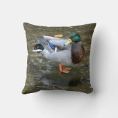 Mallard Duck （オス） in Creek Pillow クッション (裏面)