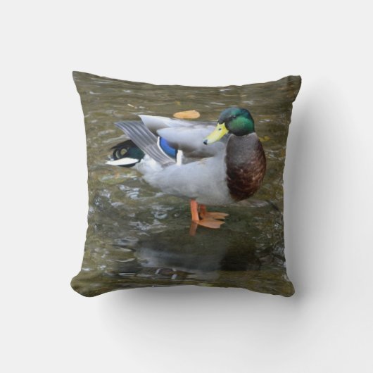 Mallard Duck （オス） in Creek Pillow クッション (正面)