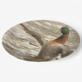 Mallard Duck Paper Plates ペーパープレート (アングル)