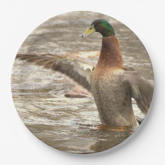 Mallard Duck Paper Plates ペーパープレート (正面)