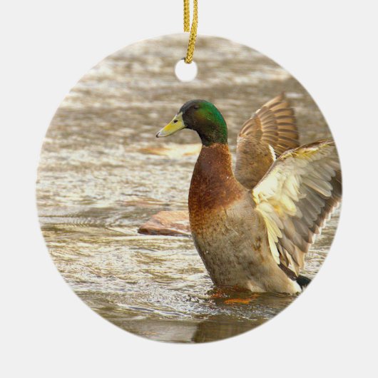 Mallard Duck Photo Ornament  セラミックオーナメント (正面)