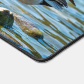 Mallard Duck Standing on Shore Rocks by the Lake デスクマット (コーナー)