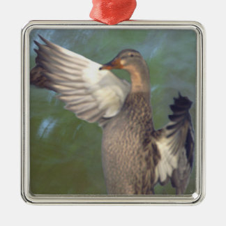 Mallard Ducks Ornament  メタルオーナメント