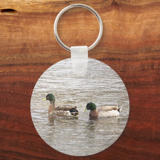 Mallard Ducks Photo Keychain キーホルダー (正面)