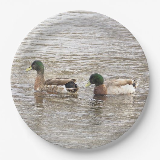 Mallard Ducks Photo Paper Plates ペーパープレート (正面)