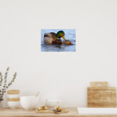 Mallard Ducks Poster ポスター (キッチン)