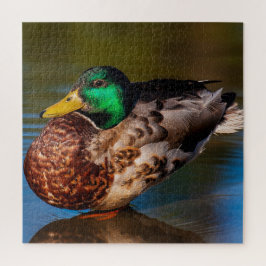 Mallard Portrait  ジグソーパズル