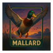 Mallard Poster ポスター (正面)