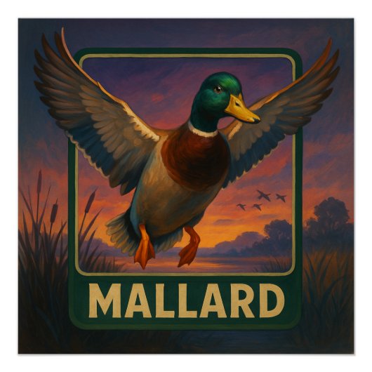 Mallard Poster ポスター (正面)
