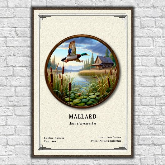 Mallard Zoology Series Poster ポスター