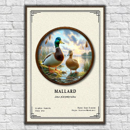 Mallard Zoology Series Poster ポスター
