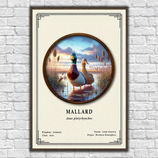 Mallard Zoology Series Poster ポスター