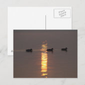 Mallardsのポストカード ポストカード (正面/裏面)