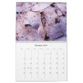 Malloryジョーンズの写真撮影2012のカレンダー カレンダー (1月 2026)