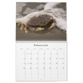 Malloryジョーンズの写真撮影2012のカレンダー カレンダー (2月 2026)