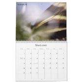 Malloryジョーンズの写真撮影2013年 カレンダー (3月 2026)