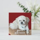 Malshi Birthday Card カード (スタンド正面)