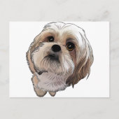 Malshi MALshi ポストカード (正面)