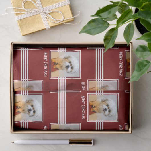 Malshi Tissue Paper 薄葉紙 (ギフト)