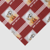 Malshi Tissue Paper 薄葉紙 (詳細)