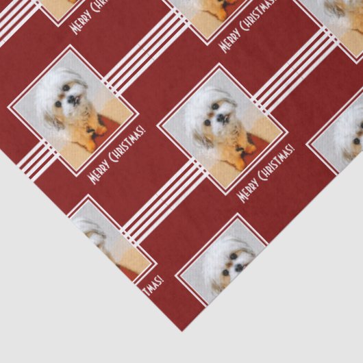 Malshi Tissue Paper 薄葉紙 (詳細)