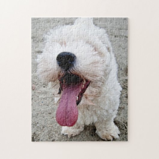 malteese幸せな子犬の白い犬maltipoo. ジグソーパズル (縦)