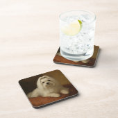 Maltese コースター (右側)