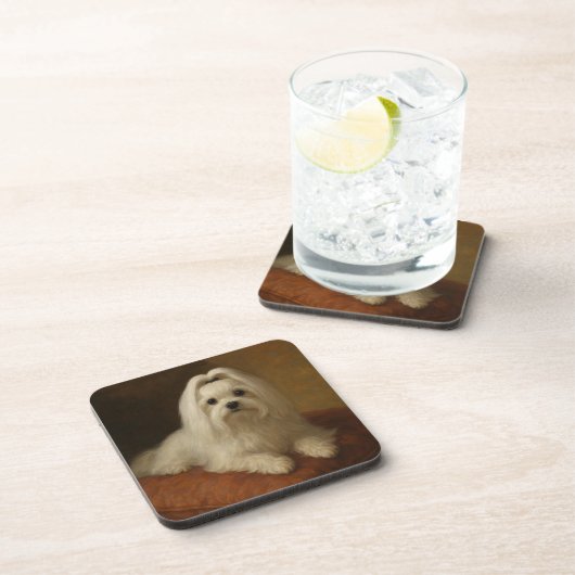 Maltese コースター (右側)