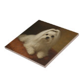 Maltese タイル (側面)