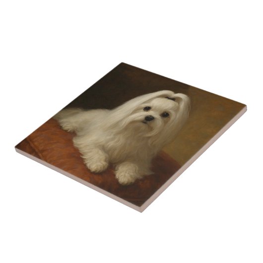 Maltese タイル (側面)