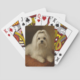 Maltese トランプ